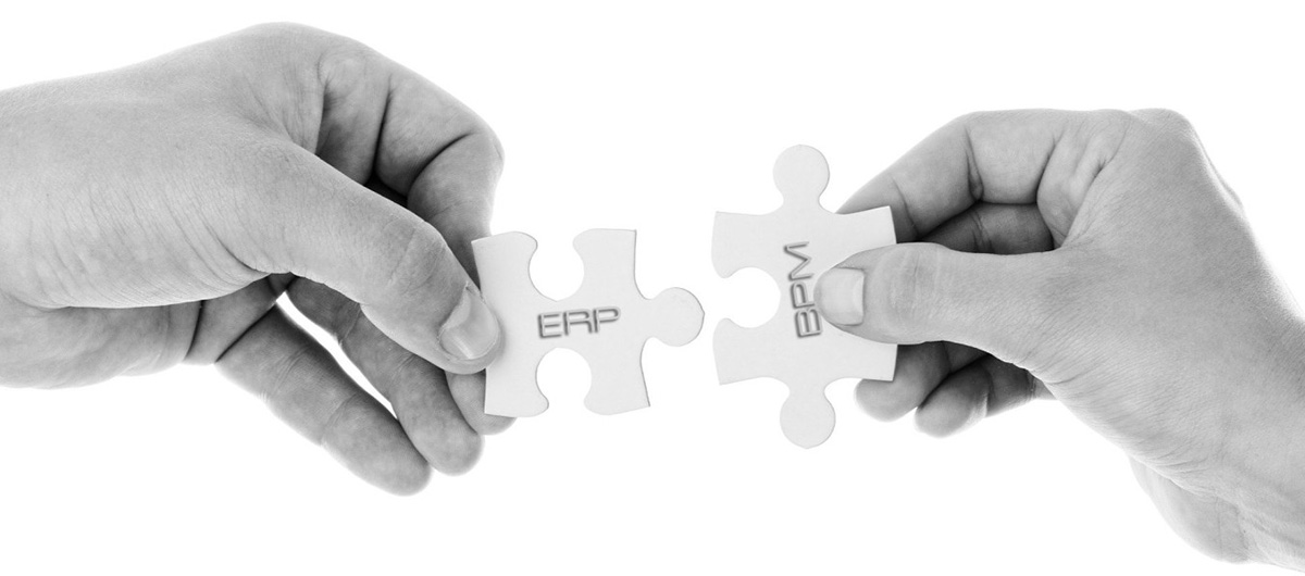 Fellowship of the process: BPM & ERP